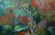 Lion Fish at Phi Phi Island