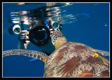 Underwater Photography course with Adriano Trapani