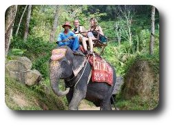 James Bond Island Elephant Trek