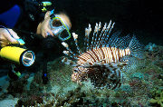 Scuba Diving Courses Khao Lak - Photo by Marcel Widmer