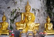 Phuket Villa rental