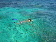Snorkeling Thailand Adventures Easy Day Thailand Tours