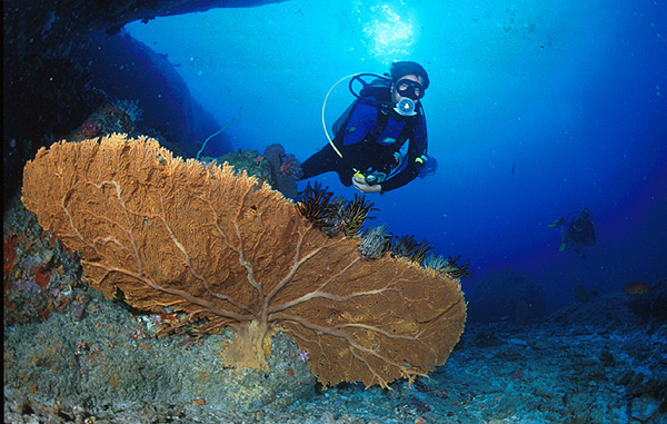 Activities in Thailand - Scuba Diving
