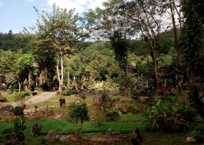 Mae Kampong, Chiang Mai -Tharnthong Lodge Garden
