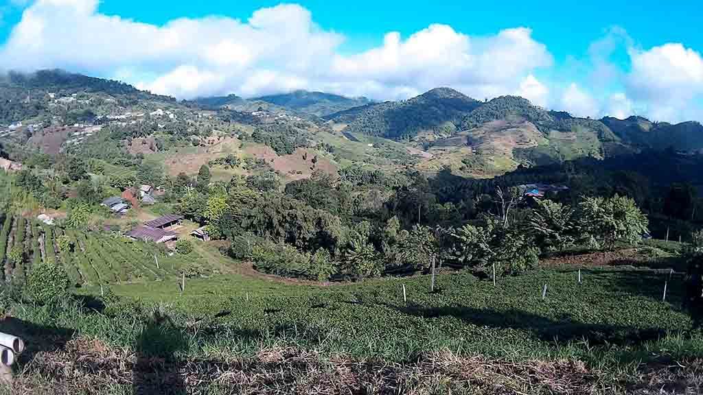 Chiang Mai ,Mon Cham - mountain scenery