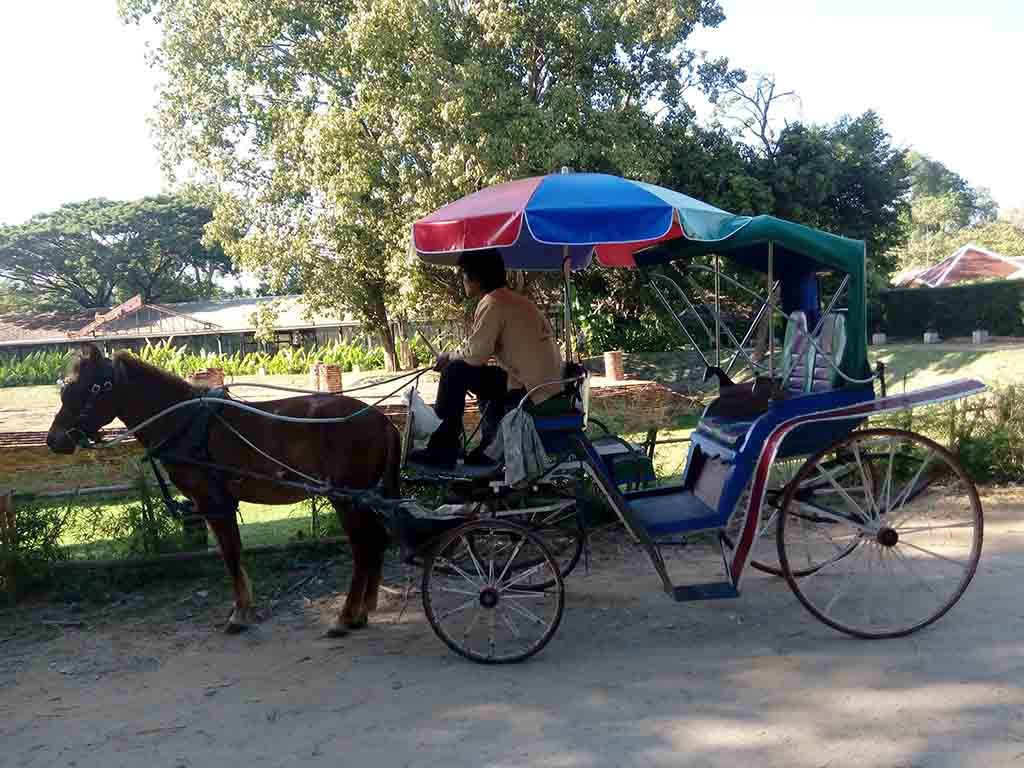 chiang mai,wiang kum kam- horse drawn carriage with guide