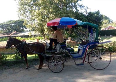 chiang mai,wiang kum kam- horse drawn carriage with guide