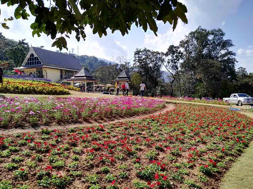 chiang mai, queen sirikit botanic garden - garden and house