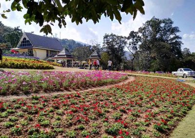 chiang mai, queen sirikit botanic garden - garden and house