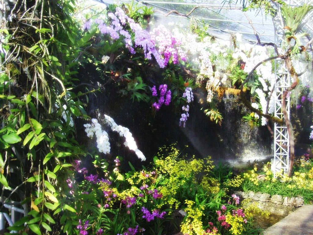 chiang mai, royal flora ratchaphruek - orchids
