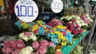 Bangkok Flower Market