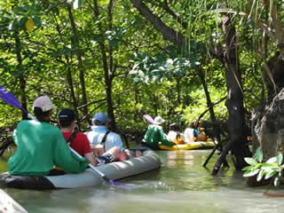 Sea Canoeing in Phang Nga Bay 